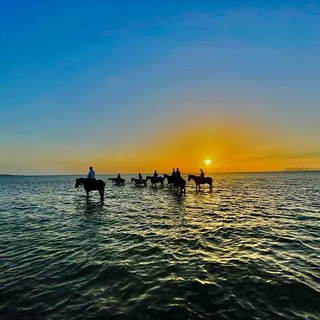 Simarty Dom wakacyjny *